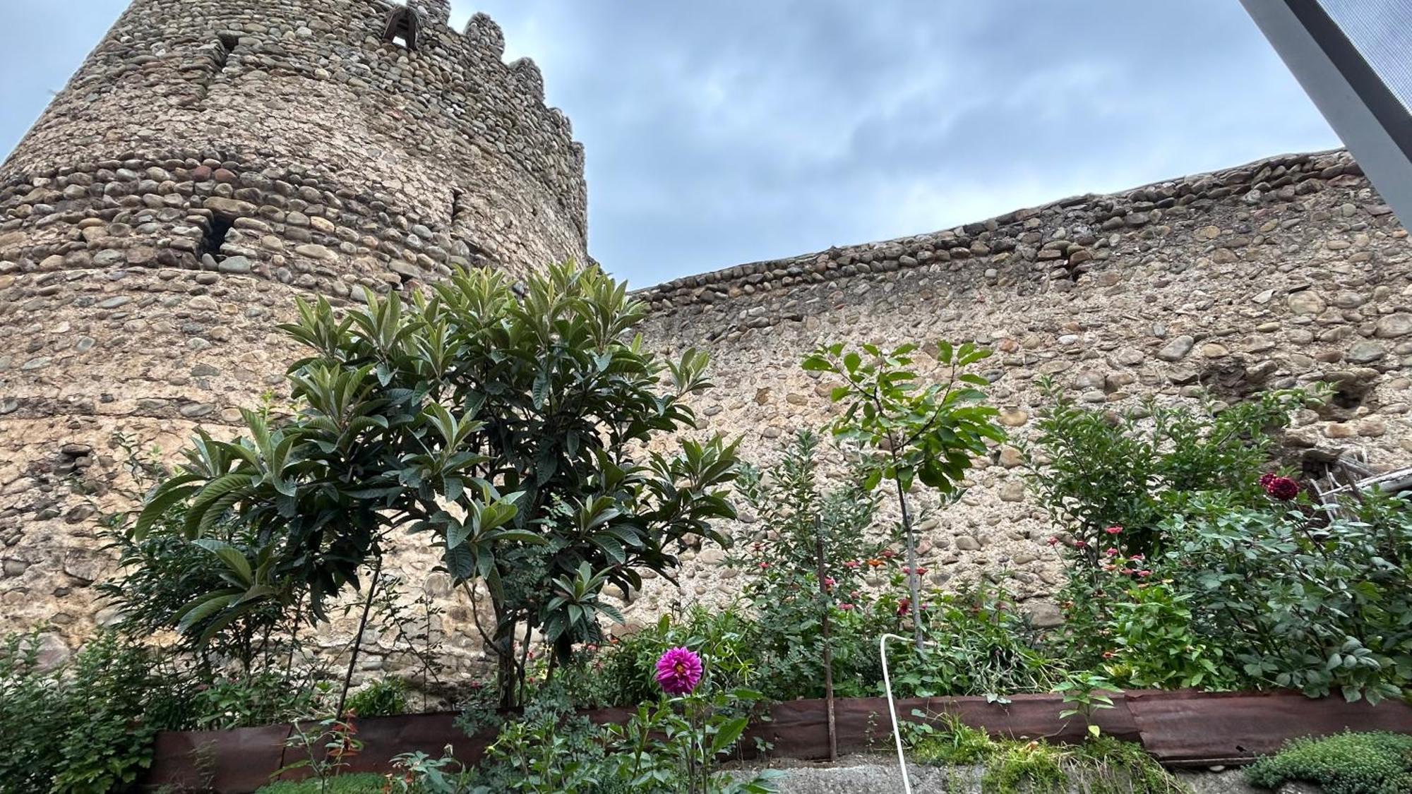Guest House Maria Sighnaghi Bagian luar foto