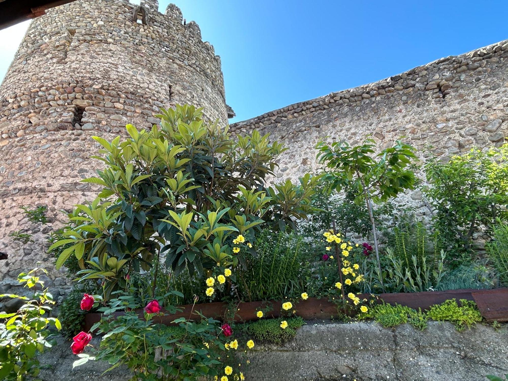 Guest House Maria Sighnaghi Bagian luar foto